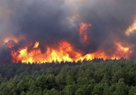 آتش‌سوزی وسیع در ارتفاعات ۳ شهرستان استان فارس