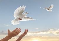 قدر آزادی بیان را بدانیم