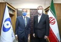 در باره سفر مدیرکل آژانس انرژی اتمی به ایران