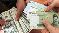 نظارت دولت سابق بر کالاهای مشمول ارز 4200 تومانی ضعیف بود