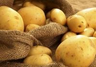  ازبکستان سلامت سیب زمینی صادراتی ایران را به طور رسمی تایید کرد