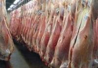 عرضه گوشت قرمز در بازار افزایش یافت