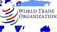 سازمان تجارت جهانی در مناقشه تجاری با آمریکا، از چین حمایت می کند