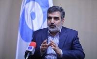  در حال مذاکره با روسیه برای توسعه فاز ۲ و ۳ نیروگاه بوشهر هستیم