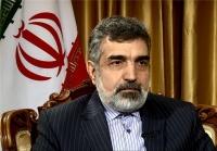 به پادمان متعهد هستیم/ ایران اقدامات بیشتری را در نظر دارد