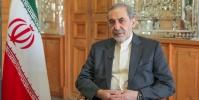 ولایتی: هر کشوری که با رژیم صهیونیستی رابطه دارد، به همان نسبت از ما دور است/ بزرگانمان را به کسی نمی‌بخشیم
