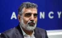 برداشت اورانیوم ۲۰درصد زیرنظر آژانس است/ اجرای مصوبه مجلس ادامه دارد