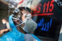 حمله سگ‌های خانگی به نیروهای اورژانس تهران!