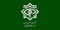  دستگیری عناصر داعش در اغتشاشات