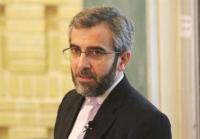  باقری: دولت، تضییع حقوق ایرانیان در هیچ نقطه‌ای از جهان را برنمی‌تابد