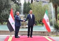 وزیر امور خارجه سوریه با امیرعبداللهیان دیدار و گفتگو کرد
