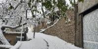  بارش برف در شهرهای شمال شرق استان تهران/ مدارس ابتدایی در نوبت صبح غیرحضوری شد