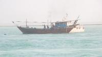 آزادی ۱۴ ماهیگیر پس از ۸ سال اسارت در سومالی