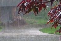 بارش باران اغلب نقاط کشور را فرا می‌گیرد