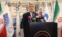 سازمان انرژی اتمی رشد و ترقی را برای کشور به ارمغان آورده است