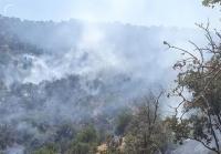  ۹۰ درصد آتش‌سوزی‌ جنگل‌های مریوان اطفا شد