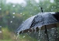 پیش‌بینی بارش باران در برخی مناطق/ هشدار هواشناسی برای استان‌های سواحل جنوبی