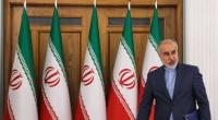 عملیات طوفان الاقصی حرکت خودجوش گروه‌های مقاومت و حق مسلم آنهاست