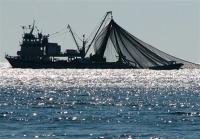  توقیف شناور صید ترال در آب‌های جزیره کیش/ ۶ متهم دستگیر شد