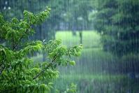  رگبار باران در نقاط مختلف کشور/ افزایش دما تا دوشنبه