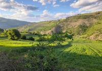 کاهش دما در شمال و دامنه جنوبی البرز