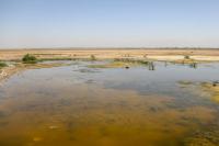 سند تمام تالاب‌ها به نام سازمان حفاظت محیط‌زیست زده می‌شود
