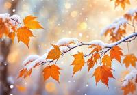 سامانه بارشی در راه ایران