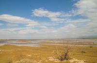  تهران تا پایان تابستان با پدیده گردوغبار درگیر خواهد بود