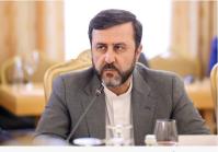 در نشست استانبول مواضع خود را درباره مکانیسم ماشه مطرح خواهیم کرد