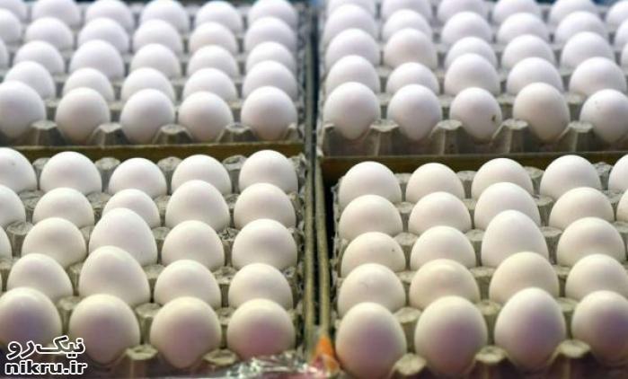 قیمت هر شانه تخم مرغ به بیش از ۵۵ هزار تومان رسید