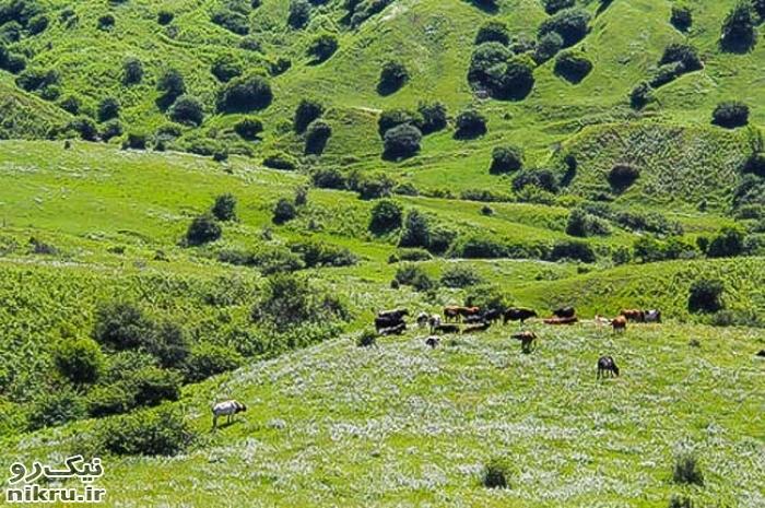 ضرورت توجه مضاعف به موضوع آمایش سرزمینی