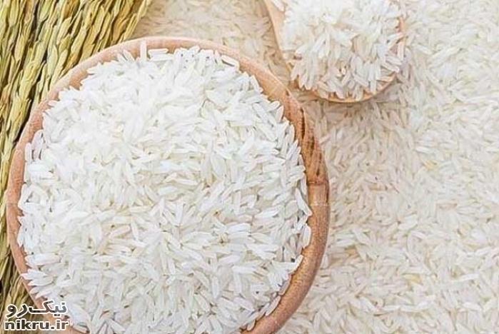 گرانی برنج منطقی نیست/ برخی از کشاورزان سودجویی می‌کنند