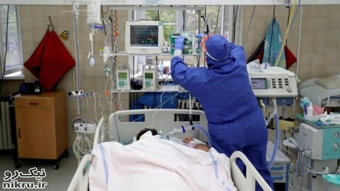 فوت ۷۸ بیمار کرونایی در شبانه روز گذشته/ ۱۱۱۳ نفر بستری شدند