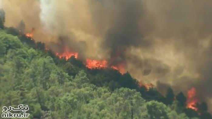  آتش سوزی در جنگل‌های کلاردشت/ درخواست بالگرد برای اطفای حریق