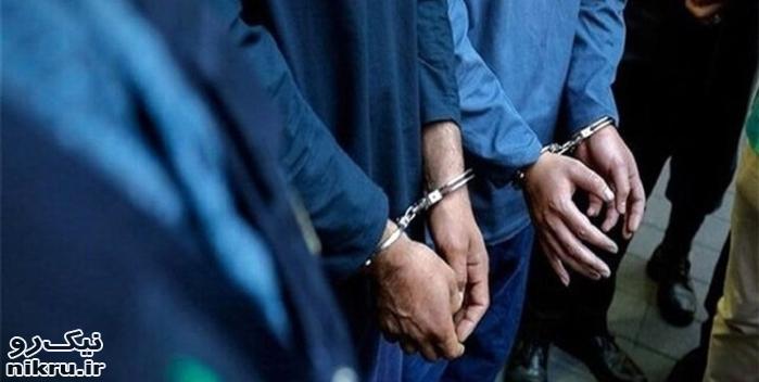  دستگیری ۲ عامل پوشش و گریم سگ نما در اسلامشهر