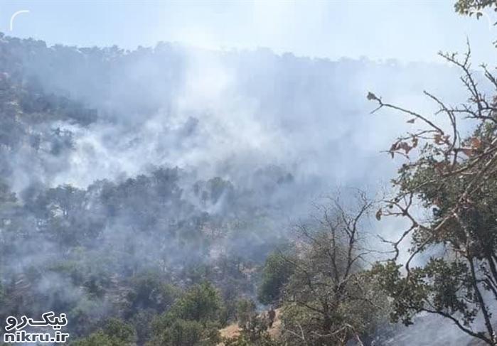  ۹۰ درصد آتش‌سوزی‌ جنگل‌های مریوان اطفا شد